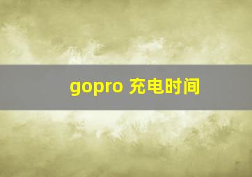 gopro 充电时间